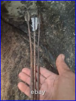 1800s NATIVE AMERICAN PARFLESH QUIVER ARROWS VERY NICE QUALITY! HTF RARE