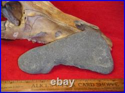 7.61 California Tomahawk Ax / Club Head Tuolumne Co. California Tomahawk