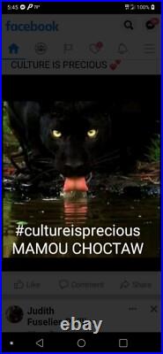 ANTIQUE 1920s LOUISIANA CHOCTAW STICKBALL STICKS! DECORATED VERY RARE SUPER