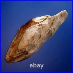 Acheulean Stone Hand Axe Archaic Tool Rare Lithic True Museum Quality