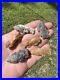 Ancient-Authentic-Collection-Of-Rare-Evans-Arrowheads-From-Louisiana-01-ntlv