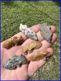 Ancient Authentic Collection Of Rare Evans Arrowheads From Louisiana