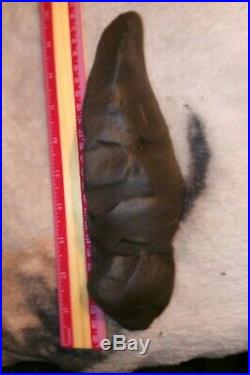 Ancient Ceremonial Artifacts Rare 10 Face Effigy Native American Picture Rock