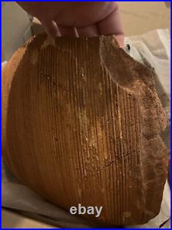Antique Artifact Native American Spindle Half Bowl Piece rare Find unmounted AZ