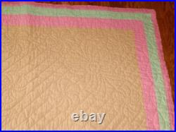 Antique Lakota Star Quilt 44 x 88 Applique Sioux Native American RARE Thus