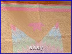 Antique Lakota Star Quilt 44 x 88 Applique Sioux Native American RARE Thus