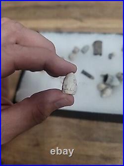 Antique Native American Bulletts Rare! Artifacts