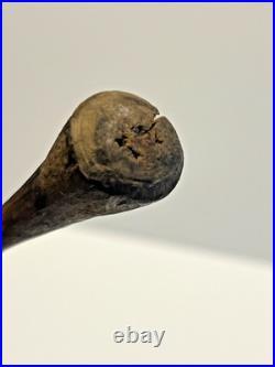 Antique Native American Indian Wood RARE Blunt Point Arrow to Stun Prey # F3