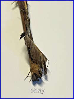 Antique Native American Indian Wood RARE Blunt Point Arrow to Stun Prey # F3