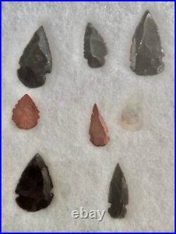 Antique Rare American Indian Native Arrowheads (15) Collection in Case