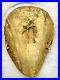 Antique-Rare-Native-American-Indian-Warrior-Breastplate-Animal-Bone-Ryker-Case-01-ei