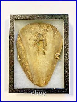 Antique Rare Native American Indian Warrior Breastplate Animal Bone Ryker Case