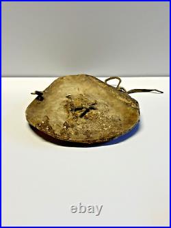 Antique Rare Native American Indian Warrior Breastplate Animal Bone Ryker Case