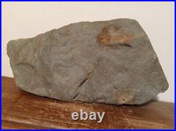 Authentic Ancient Native American Indian Stone Effigy Motif Very Rare