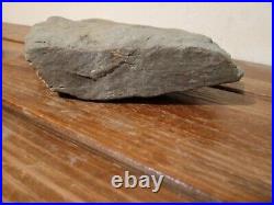Authentic Ancient Native American Indian Stone Effigy Motif Very Rare