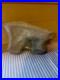 Authentic-Paleoethic-Native-American-Indian-Stone-Effigy-Very-Rare-01-wo