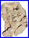 Authentic-Rare-Ancient-Stone-Native-American-Human-Motif-Carving-Effigy-01-rf