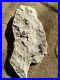 Authentic-Rare-Ancient-Stone-Native-American-Human-Motif-Carving-Effigy-01-vk