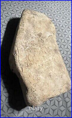 Authentic Rare Ancient Stone Native American Indian Head Carving