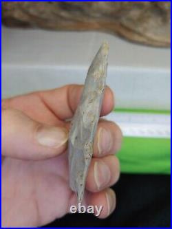 Authentic Rare Milnesand paleo point from Mo