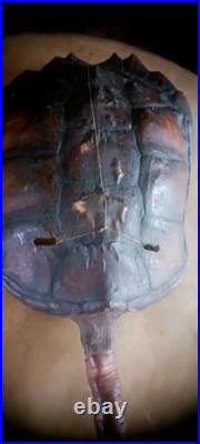 Awesome Antique Native American Ceremony Rattle Ojibwa Shaman Nice