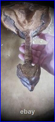 Awesome Antique Native American Ceremony Rattle Ojibwa Shaman Nice