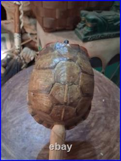 Awesome Old Coushatta Koasati Stomp Dance Rattle Rare Very Nice