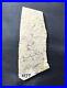 Certified-Extremely-Rare-California-Chumash-Engraved-Stone-Tablet-Appraised-01-to