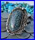 Giant-Navajo-Sterling-Silver-New-Landers-Spiderweb-Turquoise-Ring-Sz7-Rare-01-sixw
