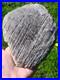 Incised-Stone-California-Rare-Native-American-Indian-Artifacts-Pre-Historic-01-hpof