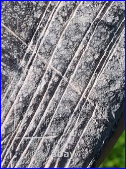 Incised Stone California Rare Native American Indian Artifacts Pre Historic