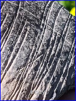 Incised Stone California Rare Native American Indian Artifacts Pre Historic