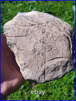 Incised Stone California Rare Native American Indian Artifacts Pre Historic