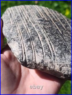 Incised Stone California Rare Native American Indian Artifacts Pre Historic