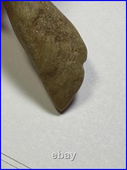 Iroquois Blind Eagle Charm Stone Beautiful Green Chlorite Rare NY Artifact