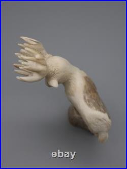 Maxx Laate Antler Zuni Rare 20-Point Deer Buck Fetish