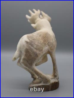 Maxx Laate Antler Zuni Rare 20-Point Deer Buck Fetish