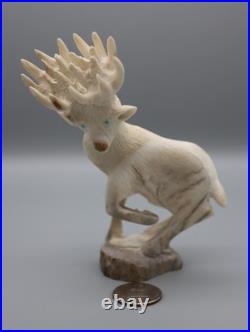 Maxx Laate Antler Zuni Rare 20-Point Deer Buck Fetish