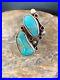 Mens-Turquoise-Rare-Native-American-Sterling-Silver-2-Stone-Ring-Sz-6-8765-01-xr