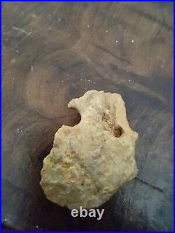 Native American Bird /Human Effigy. Portable Rock Art Pre-1600. Rare