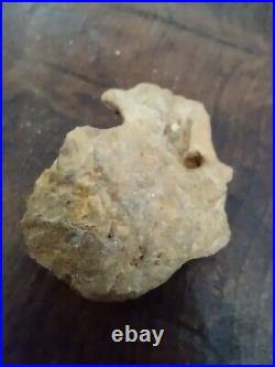 Native American Bird /Human Effigy. Portable Rock Art Pre-1600. Rare