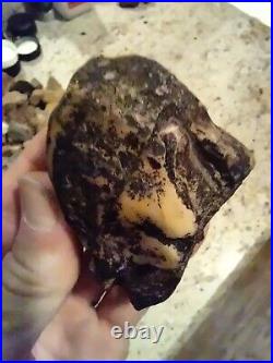 Native American Black Bear Stone Effigy. Chert (Quartz) Portable Rock Art. Rare