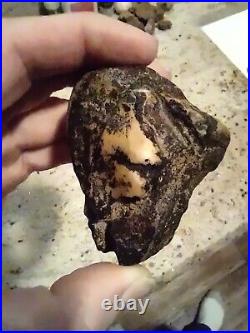 Native American Black Bear Stone Effigy. Chert (Quartz) Portable Rock Art. Rare