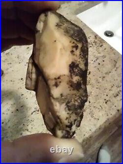 Native American Black Bear Stone Effigy. Chert (Quartz) Portable Rock Art. Rare