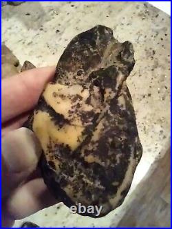 Native American Black Bear Stone Effigy. Chert (Quartz) Portable Rock Art. Rare