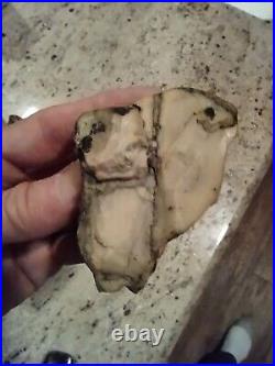 Native American Black Bear Stone Effigy. Chert (Quartz) Portable Rock Art. Rare