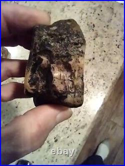 Native American Black Bear Stone Effigy. Chert (Quartz) Portable Rock Art. Rare