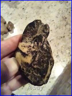 Native American Black Bear Stone Effigy. Chert (Quartz) Portable Rock Art. Rare