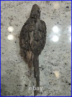 Native American Ceremonial Wood Art. Bird. Rare. Great Value Artifacts