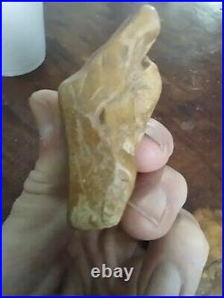 Native American Effigy Portable Rock Art. Rare Pre-1600. Great Value Artifacts